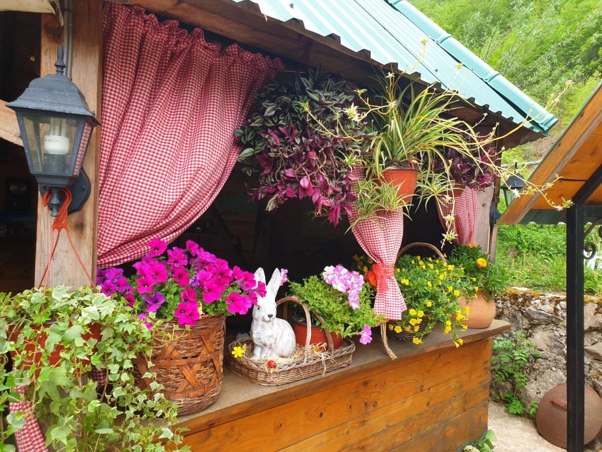 Hotel Kamp Vrbnica Plužine Exterior foto